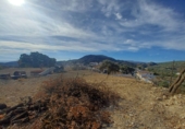 Masia amb terreny en venda a Loja ref.: TR109191 foto