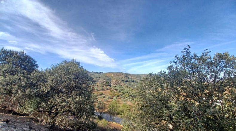 Granada - Ventorros de San José - 2463m2