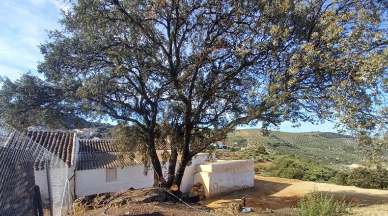 Granada - Ventorros de San José - 2463m2