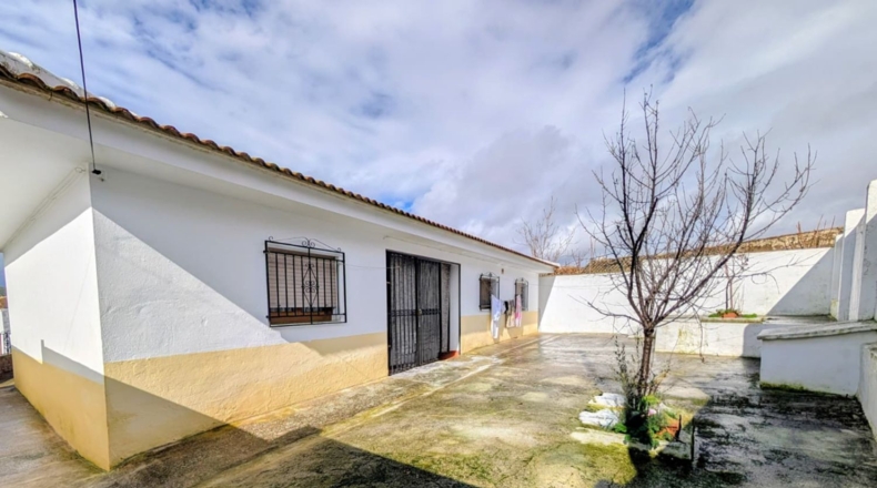 Гранада - Loja - 332m2