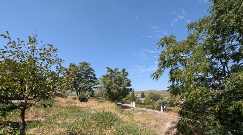 Granada - Plines - 3000m2