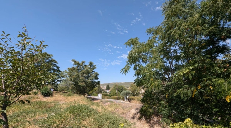 Granada - Plines - 3000m2