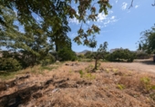 Non-developable land for sale in Loja ref: TR110062 photo