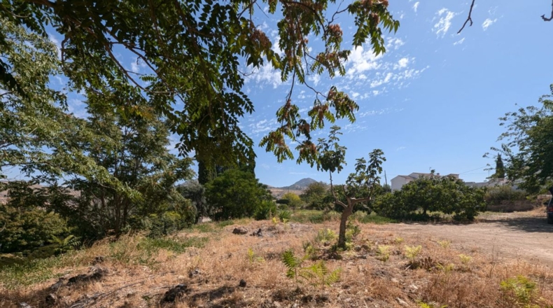 Granada - Plines - 3000m2