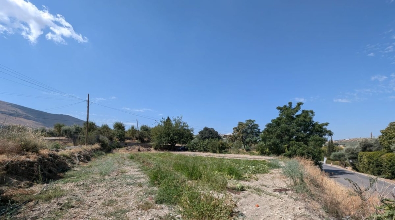 Granada - Plines - 3000m2