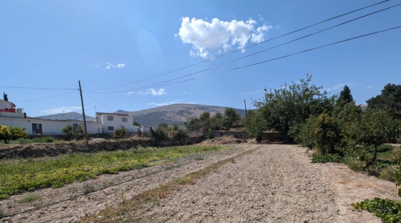 Granada - Plines - 3000m2