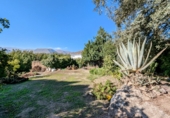 Chalet independiente con terreno en venta en Loja ref: TR183047 foto