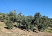 Земельный участок на продажу в городе Loja. Фото
