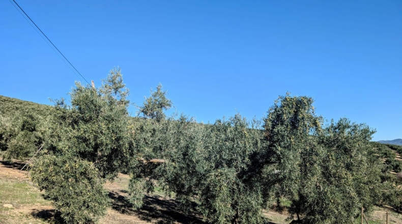 Granada - El Bujeo - 35m2