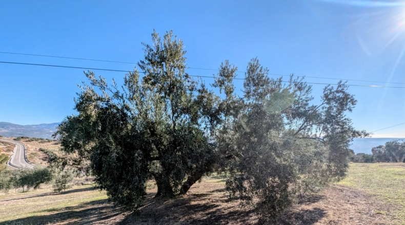 Granada - El Bujeo - 35m2