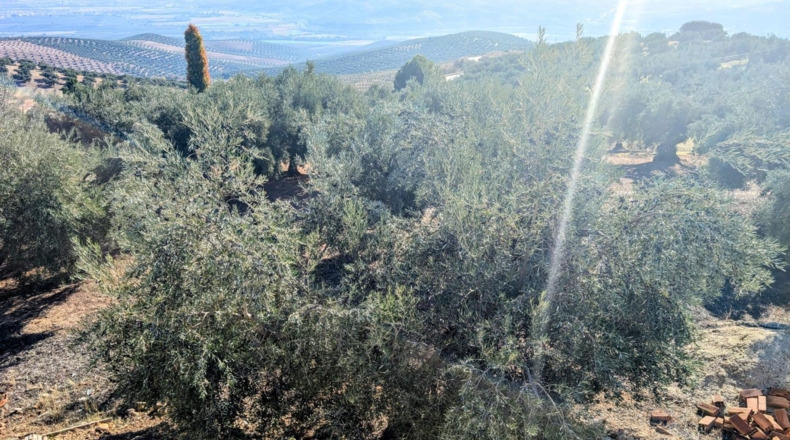 Granada - El Bujeo - 35m2