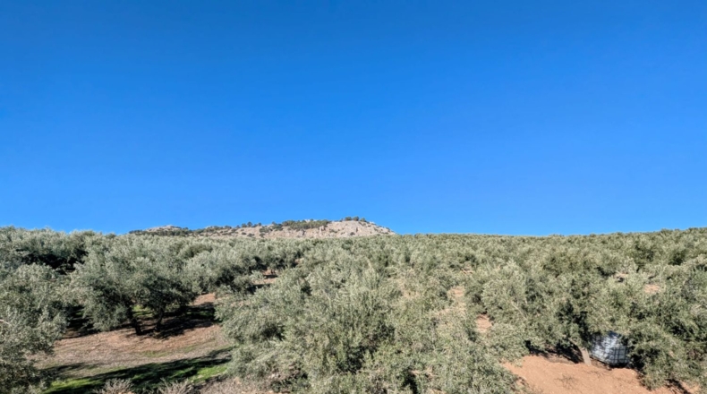 Granada - El Bujeo - 35m2