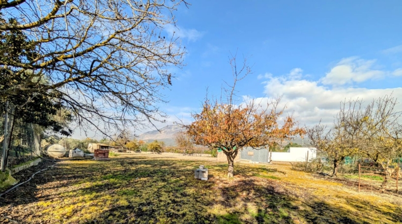 Granada - Salar - 2500m2