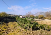Terreno no urbanizable en venta en Salar ref: TR254311 foto