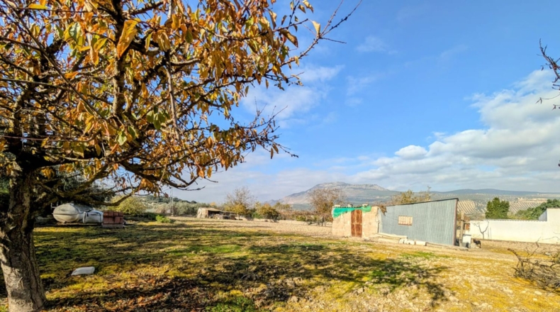 Granada - Salar - 2500m2