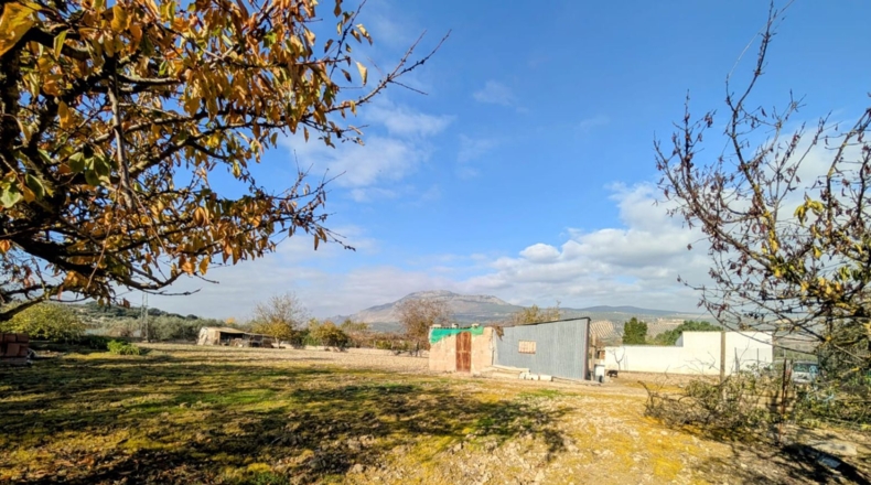Granada - Salar - 2500m2