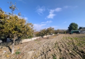 Terreno no urbanizable en venta en Salar ref: TR254311 foto