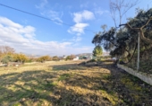 Terreno no urbanizable en venta en Salar ref: TR254311 foto