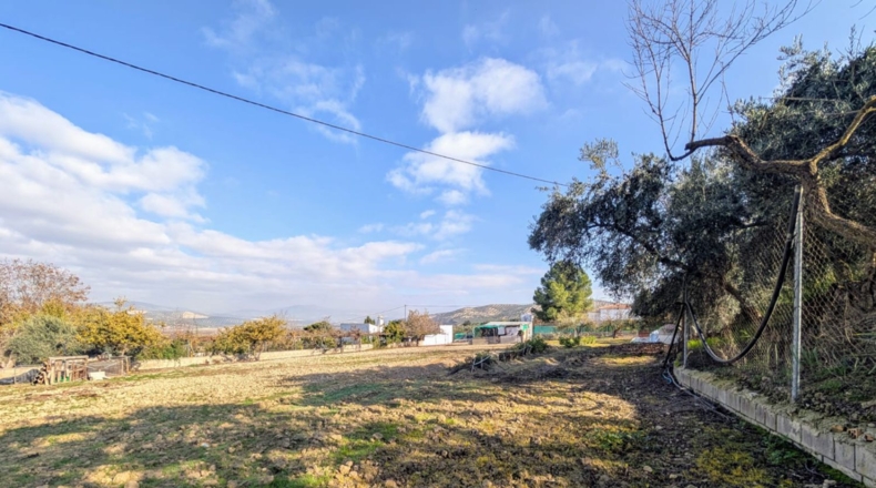 Granada - Salar - 2500m2