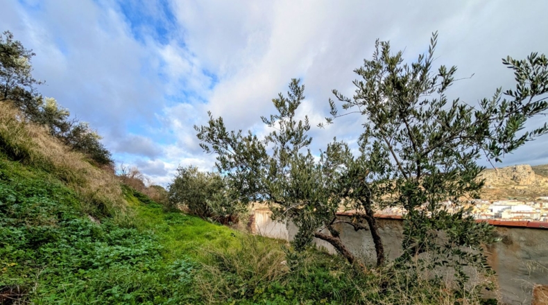 Granada - Loja - 2409m2