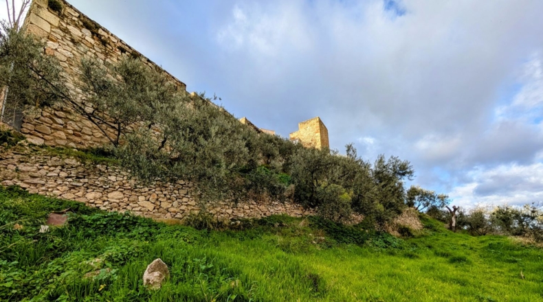 Granada - Loja - 2409m2