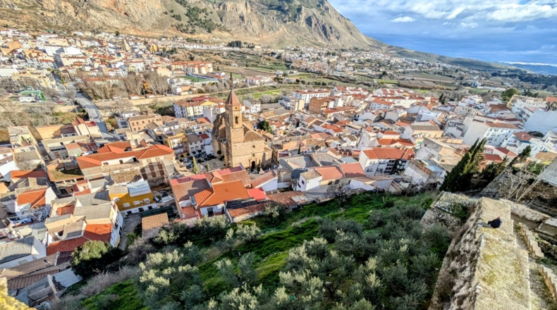 Granada - Loja - 2409m2