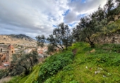 Terreno no urbanizable en venta en Loja ref: TR254314 foto