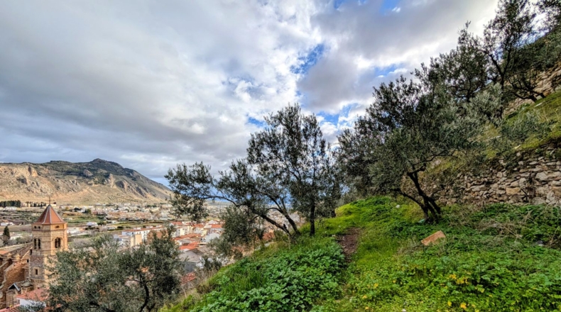 Granada - Loja - 2409m2