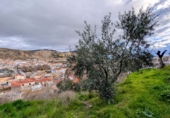 Terreno no urbanizable en venta en Loja ref: TR254314 foto