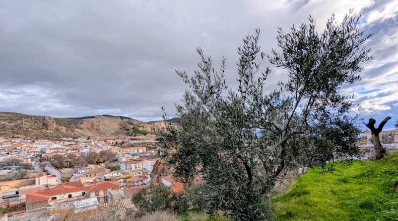 Granada - Loja - 2409m2
