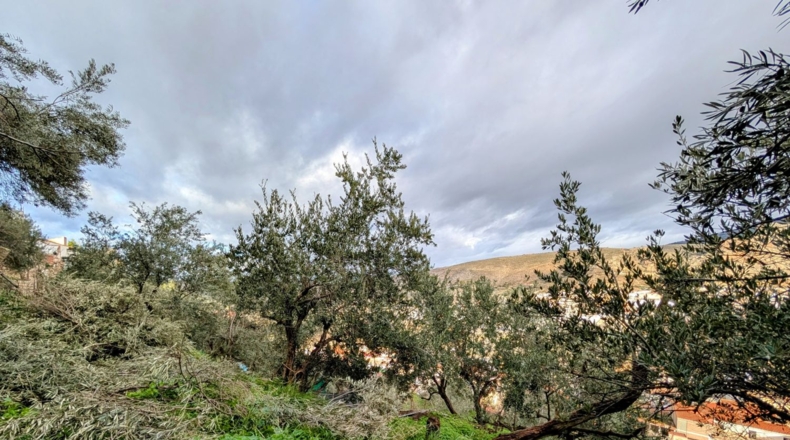 Granada - Loja - 2409m2