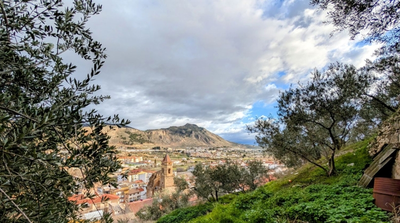 Granada - Loja - 2409m2