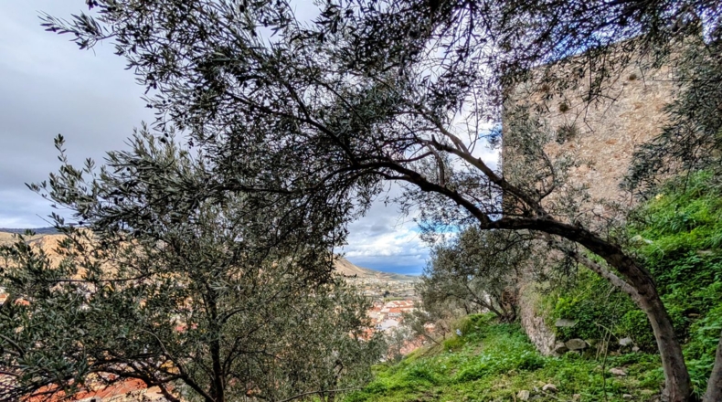 Granada - Loja - 2409m2