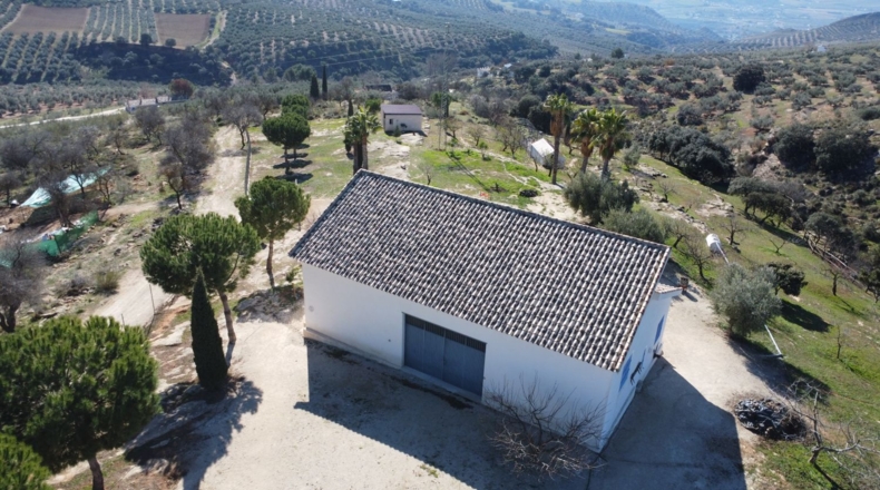 Granada - Loja - 12991m2