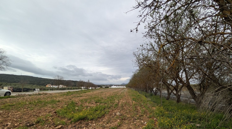 Granada - Loja - 8000m2