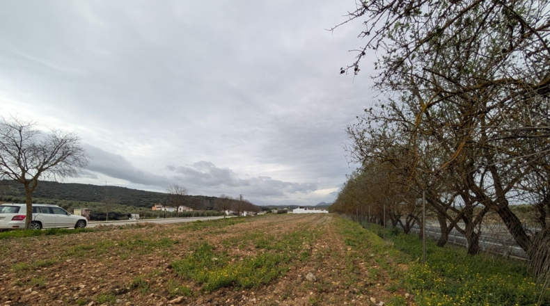Granada - Loja - 8000m2