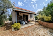 Chalet independiente con terreno en venta en Loja ref: TR257124 foto