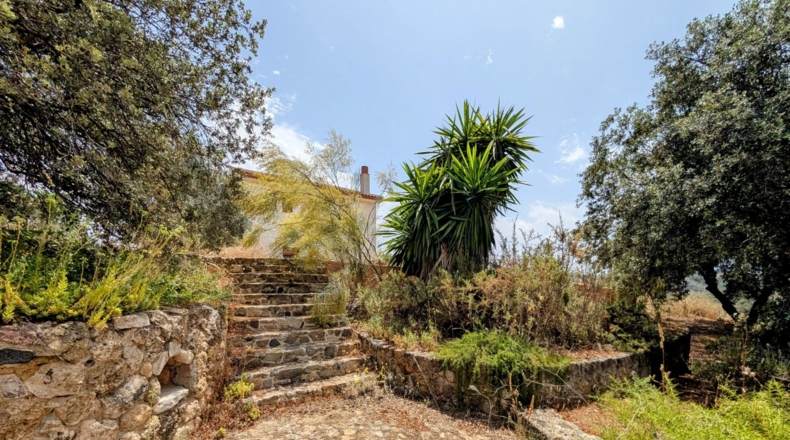 Granada - Loja - 29000m2