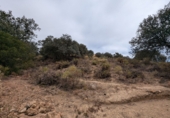 Chalet independiente con terreno en venta en Loja ref: TR257124 foto