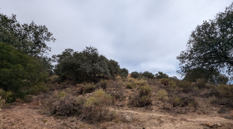 Granada - Loja - 29000m2