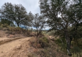Chalet independiente con terreno en venta en Loja ref: TR257124 foto