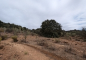 Chalet independiente con terreno en venta en Loja ref: TR257124 foto