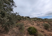 Chalet independiente con terreno en venta en Loja ref: TR257124 foto
