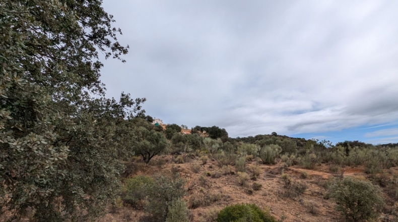 Granada - Loja - 29000m2