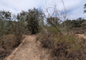 Chalet independiente con terreno en venta en Loja ref: TR257124 foto