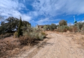 Chalet independiente con terreno en venta en Loja ref: TR257124 foto