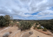 Chalet independiente con terreno en venta en Loja ref: TR257124 foto