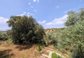 Chalet independiente con terreno en venta en Loja ref: TR257124 foto