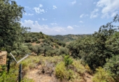 Chalet independiente con terreno en venta en Loja ref: TR257124 foto