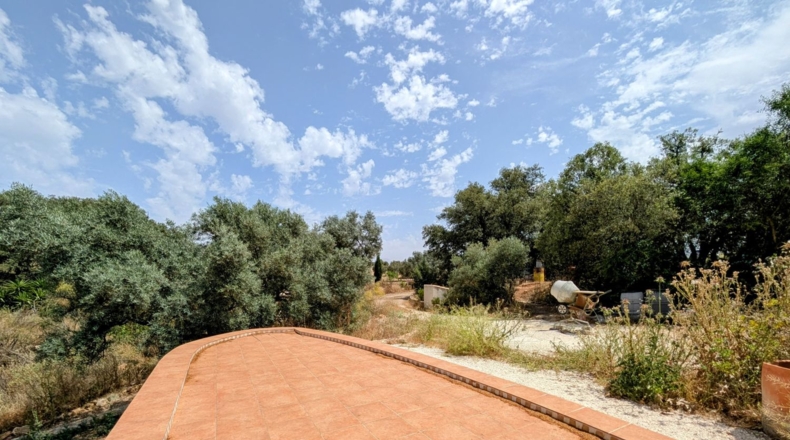 Granada - Loja - 29000m2